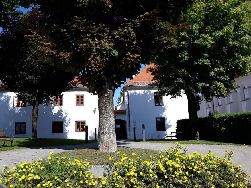 Lounge-Style-Hostel Sankt Veit an der Glan Exteriér fotografie